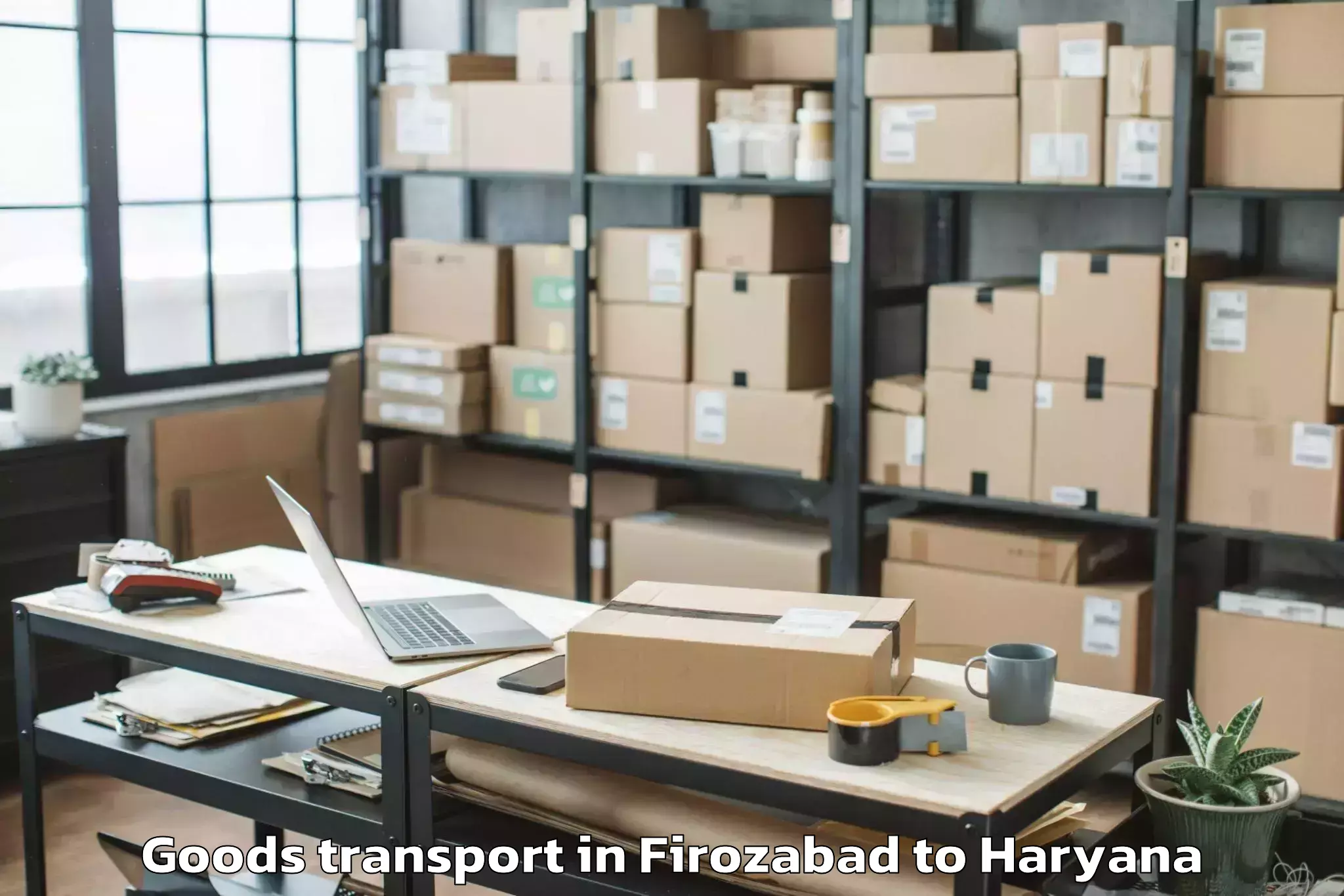 Book Firozabad to Srm University Haryana Sonipat Goods Transport